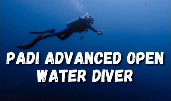 PADI Advanced Open Water Diver with Neptune Scuba Diving Sanur